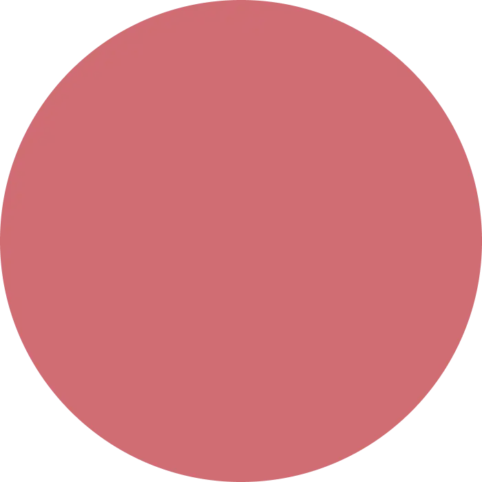 Elemento gráfico en forma de círculo rojo sin contenido adicional.